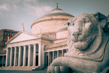 Lion Statue In San Francesco Di Paola, Piazza Del Plebiscito, Naples, Italy