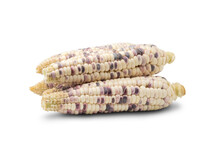 Close Up Heap Of Raw Waxy Corn Isolated On White Background. Seeds Color Mixed Between White & Purple.with Clipping Path