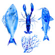Blue vector watercolor illustration of seafood collection for food market advertising products design. Mediterranean fish restaurant menu background. Omar, lobster, shrimp, coral, dorado, marlin.