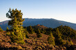 © Maxi Perez - Paisaje volcánico desde Cumbre Vieja, en el sendero de la ruta de los Volcanes, en la isla de La Palma, con la Caldera de Taburiente al fondo.