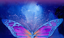 Graphic Abstract Closeup Butterfly In Magenta With Purple Speckle Horizontal Background