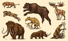 Mammoth Or Extinct Elephant, Woolly Rhinoceros Cave Bear Lion. Panthera Saber Toothed Tiger, Irish Elk Or Deer, Ground Sloth, Megatheriidae. Vintage Animal. Retro Mammals. Hand Drawn Engraved Sketch.