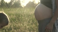 Slow Motion Little Child Boy Older Brother Kissing Pregnant Mother Belly On Nature. Pregnancy Woman Outdoor On Summer Field On Sunset. Authentic Family Moments Of Expecting Baby.