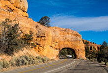 Arch On The Road In The Dixie Forest