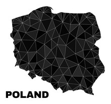 Lowpoly Poland Map. Polygonal Poland Map Vector Is Combined From Scattered Triangles. Triangulated Poland Map Polygonal Model For Patriotic Purposes.