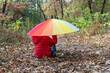 © Anna - Child in red raincoat hidden undes big colorful umbrella seating on fallen leaves in beautiful autumn park. Healthy lifestyle