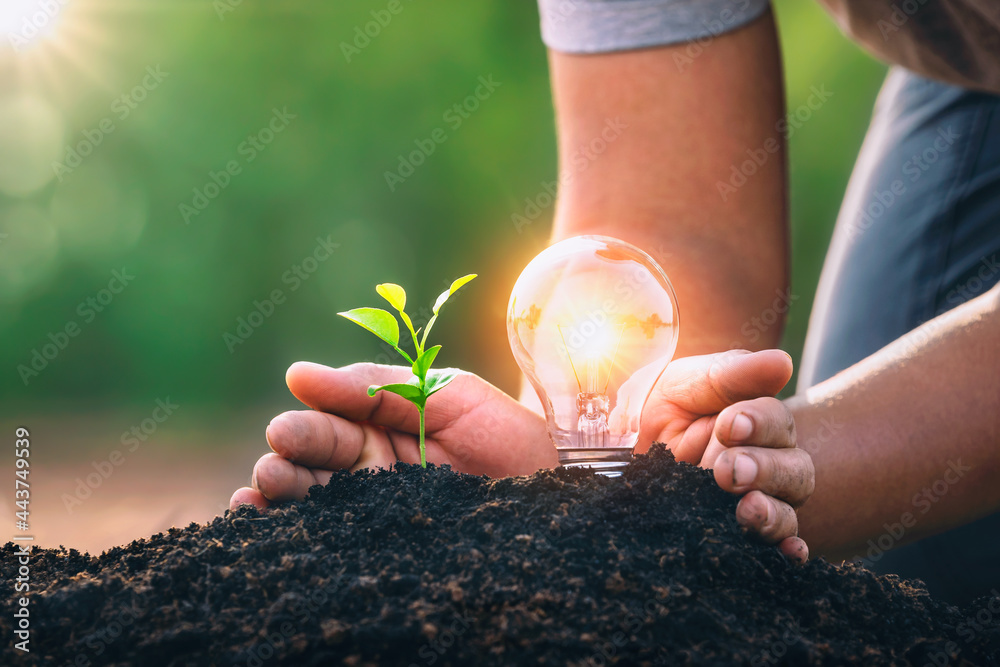 energy concept. eco power. hand protection lightbulb with small tree growing on soil - obrazy, fototapety, plakaty 