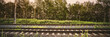 © Bonsales - Empty long rail road against green trees side view