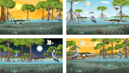 Poster - Different mangrove forest landscape scenes with various animals