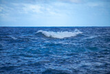 Fototapeta Morze - Summer sea background. Texture of water surface. Shining blue water ripple pattern.