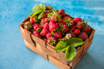 Wall Mural - Fresh ripe organic strawberries in old basket on pick your own berry plantation. Harvesting fresh strawberries in June.