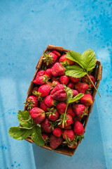 Wall Mural - Fresh ripe organic strawberries in old basket on pick your own berry plantation. Harvesting fresh strawberries in June.