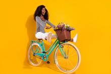 Full Length Body Size Photo Woman Riding A Bicycle With Pot Of Wild Flowers Looking Blank Space Crazy Isolated Vivid Yellow Color Background
