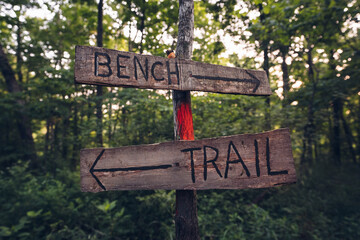 signs in the forest