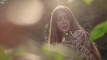 A Beautiful Girl In The Forest Against The Sunset Picks A White Flower And Sniffs It. Antihistamines During Spring Flowering. Life Without Allergy.