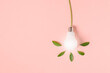 Light bulb with green leaves as a concept of eco energy. Creative idea of energy saving.