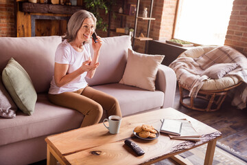 Sticker - Photo of shiny adorable retired woman dressed white t-shirt sitting couch talking modern device smiling indoors flat home house