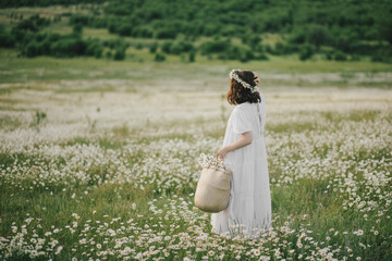 Wall Mural - Young woman wearing white dress holding straw basket with flowers on chamomile field.