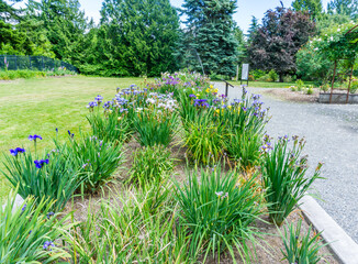 Seatac Iris Garden Scene 2