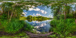 full seamless spherical hdri panorama 360 degrees angle view among the bushes of forest near river or lake in equirectangular projection, ready VR AR virtual reality content