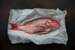 © Simi Jois - Fresh pink-orange snapper fish on parchment paper