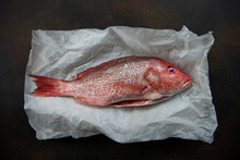 Fresh Pink-orange Snapper Fish On Parchment Paper