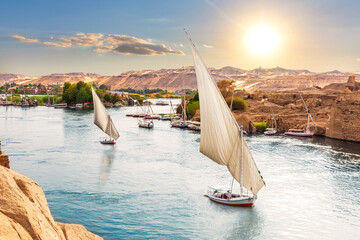 Wall Mural - Traditional Nile sailboats near the banks of Aswan, Egypt