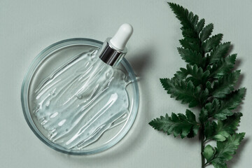 Wall Mural - Cosmetic products on a pastel green background with eucalyptus and fern leaves. Natural cosmetics from herbal ingredients. Herbs and essential oils in cosmetics.