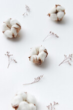 Closeup Of Dried Cotton Flowers And Twigs