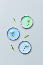 Green And Blue Lids Of Paints With White Flowers