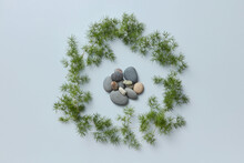 Small Stones In Circle Of Twigs