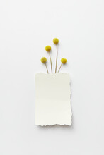 White Piece Of Paper With Yellow Flowers