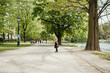© Melissa Milis Photography/Stocksy - Little child walking in a park in Brussels