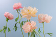 © Thais Varela/Stocksy - floral pastel still life.