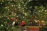 Fototapeta Tulipany - クリスマスツリー/Christmas tree
