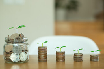 Saving money concept. Money placed on old wooden table if our lives are like one big tree, Success will be the fruits and flowers that we take care and tend to it well.