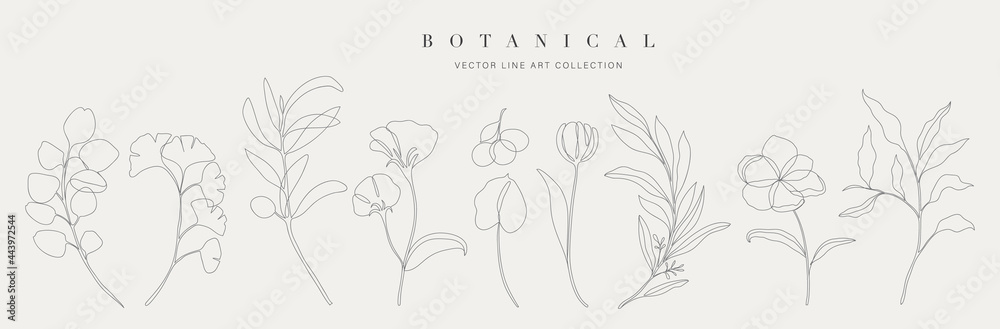  Botanical arts. Hand drawn continuous line drawing of abstract flower, floral, ginkgo, rose, tulip, bouquet of olives. Vector illustration. - obrazy, fototapety, plakaty 