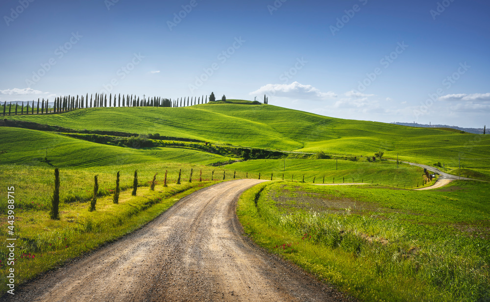 Monteroni d'Arbia, route of the via francigena. Curved road. Siena, Tuscany. Italy - obrazy, fototapety, plakaty 