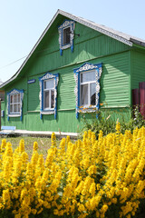 Wall Mural - Vintage wooden rural house with ornamental windows, carved frames in Suzdal town, Russia. Lysimachia punctata, dotted loosestrife. Yellow flowers in russian garden