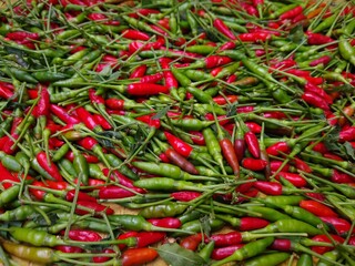 Wall Mural - Bird's eye chilli, green and red colour chillies