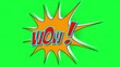 canvas print picture - 3d illustration - Words Wow! In Comics Style.