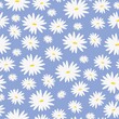 © Алена Шенбель - daisies on a light blue background