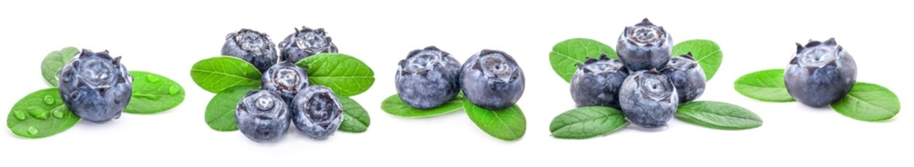 Poster - Collection of Blueberries isolated on white background