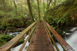 Fototapeta Perspektywa 3d - Wooden footbridges on the Arenteiro river, in the region of Galicia, Spain.
