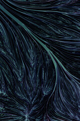 Abstract organism texture