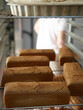 © Miquel Llonch/Stocksy - Loafs of molded bread in the bakery workshop