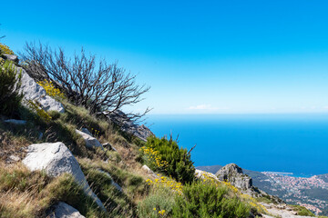 View on Marciana from Monte Capanne, Elba Island