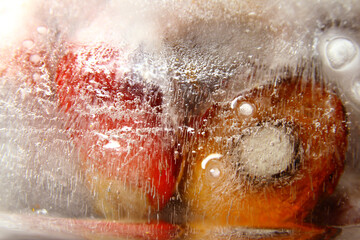 Canvas Print - frozen palm oil fruit
