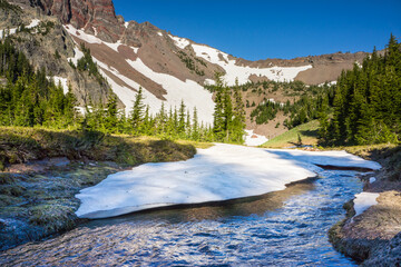 Wall Mural - volcanic mountain with patches of snow melting into streams of water runoff.
