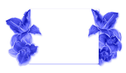 Wall Mural - Frame with blue flowers. Day-lily